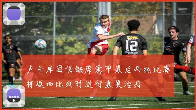 卢卡库因伤缺席意甲最后两轮比赛将返回比利时进行康复治疗
